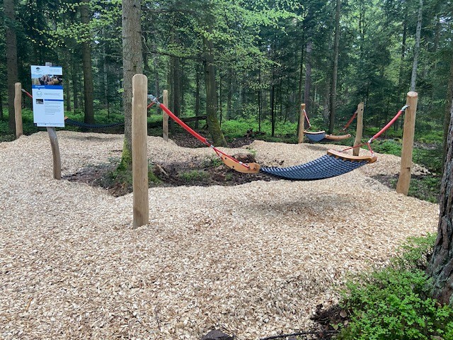 Hängematten-Schaukel mit Gummigliedermatte in Robinie